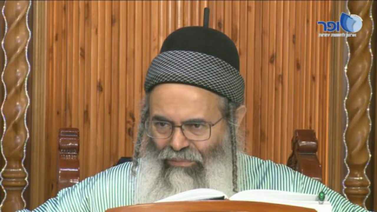 rav ammon