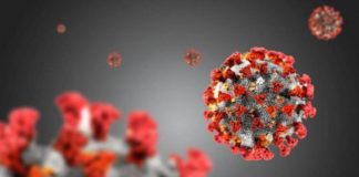 virus covid19