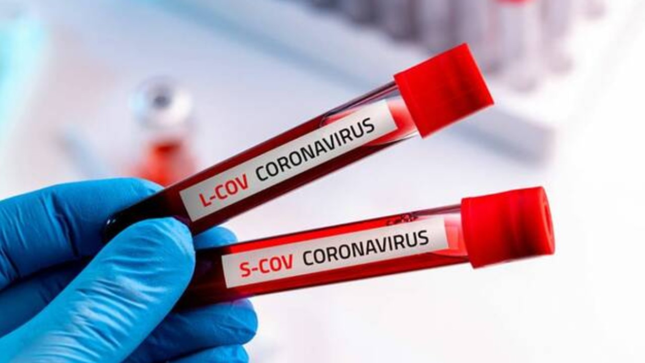 bollettino coronavirus (web source)