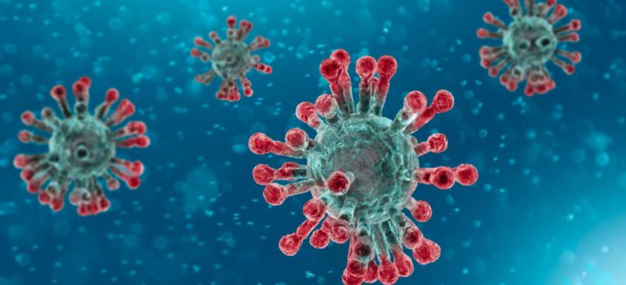 bollettino coronavirus (web source)