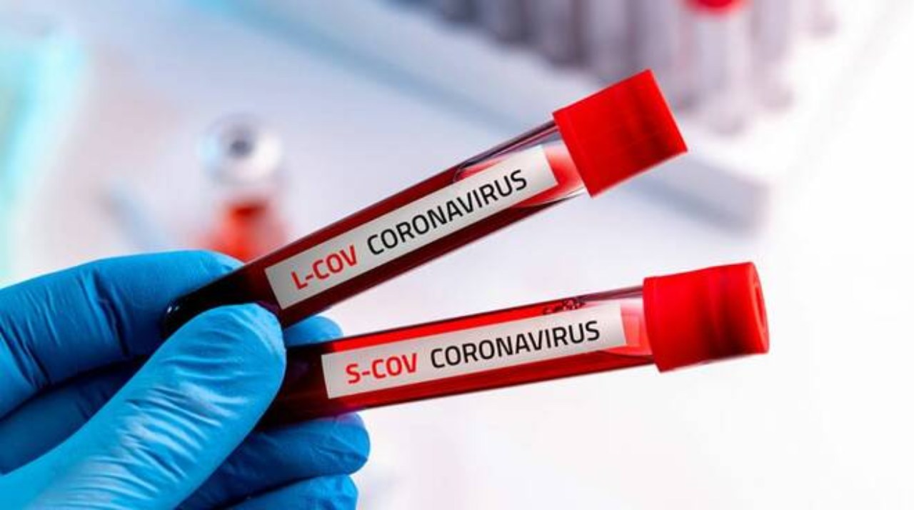 coronavirus (web source)