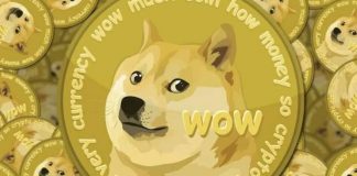 dogecoin (web source)
