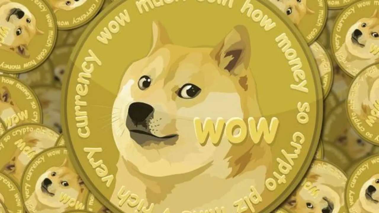 dogecoin (web source)