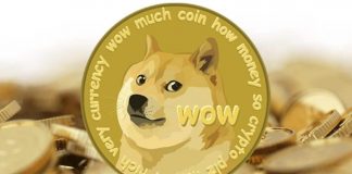 dogecoin (web source)
