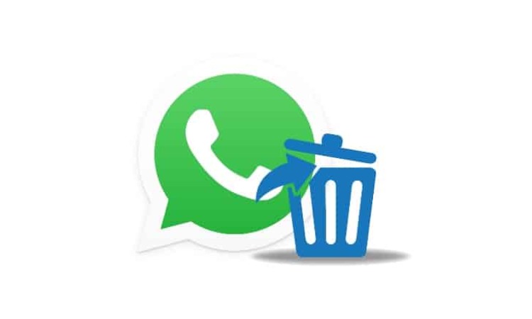 cancellare la chat di WhatsApp 