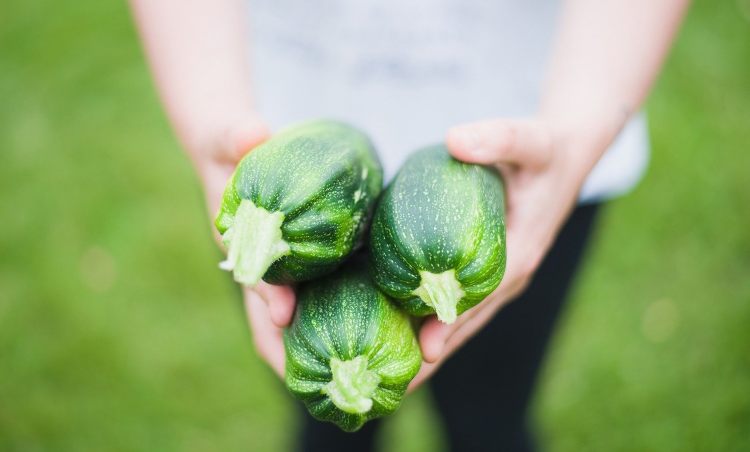 zucchine 