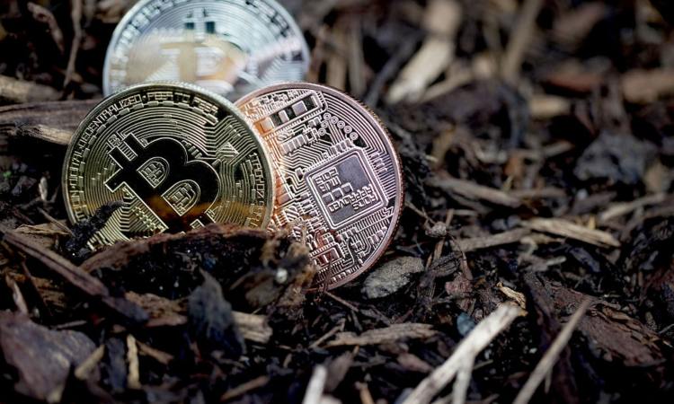 TRe Bitcoin poggiate sulla terra