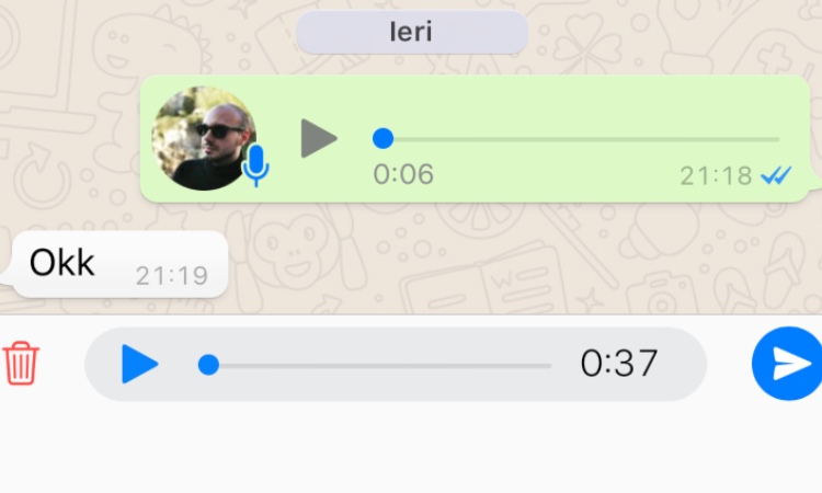 Un messaggio vocale su Whatsapp