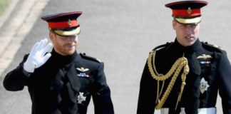 William e Harry