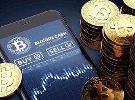 Un grafico inerente ai valori borsistici dei Bitcoin e alcune sue monete