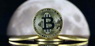 Un po' di monete in Bitcoin con sullo sfondo la luna