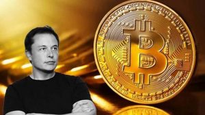 Elon Musk vicino a una Bitcoin