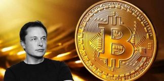 Elon Musk vicino a una Bitcoin