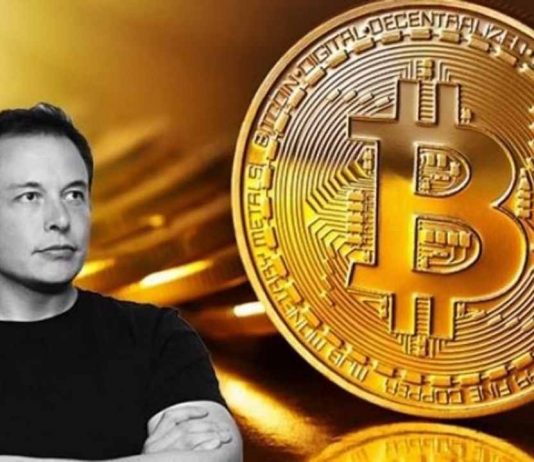 Elon Musk vicino a una Bitcoin