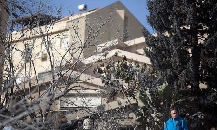 Un albero fatto crescere di fronte una casa