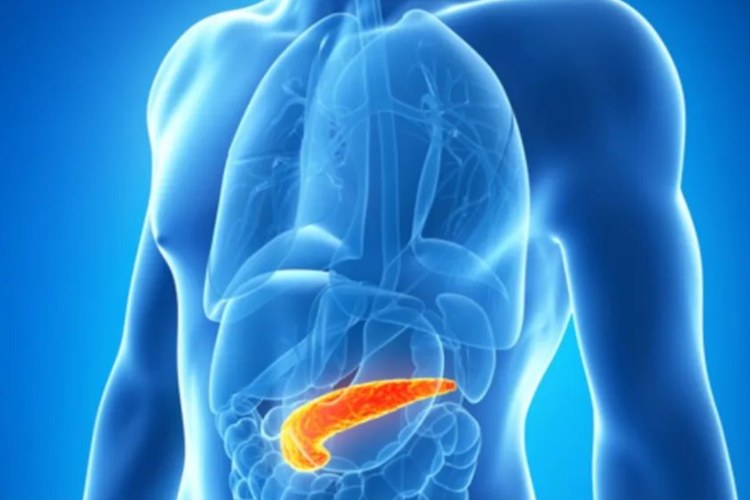 tumore cancro pancreas sintomi