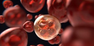 Come riconoscere il tumore cancro