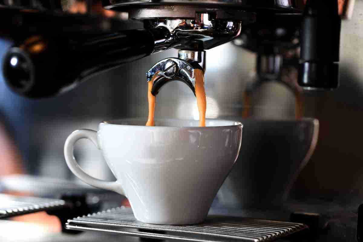 caffè disgustoso acrilammide residui insetti