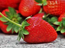 fragola rossa