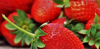 fragola rossa