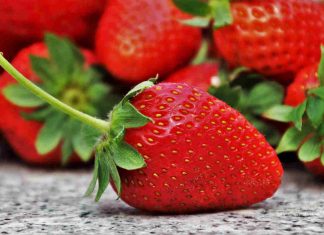 fragola rossa