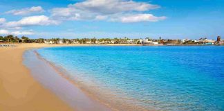 isole canarie tenerife scegli