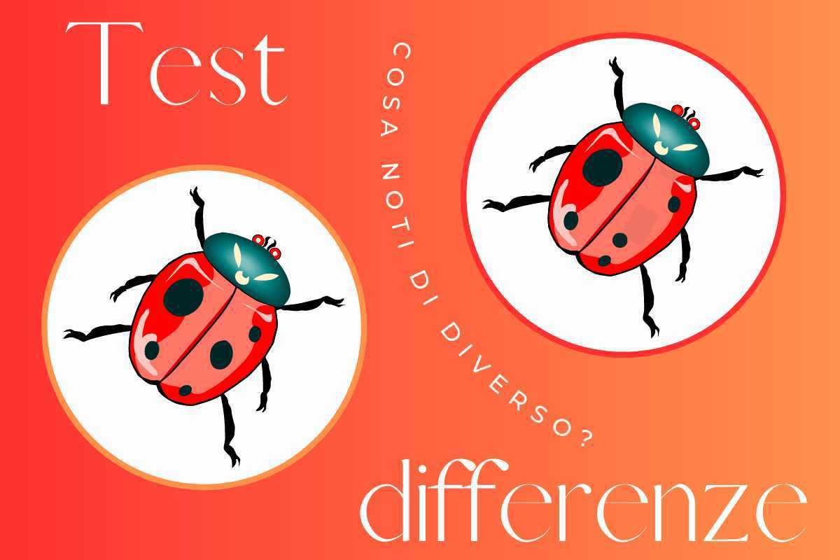 Test coccinelle