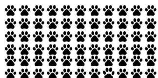 psico test impronte