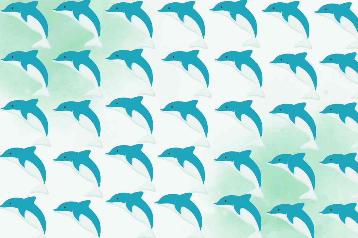 differenze delfino