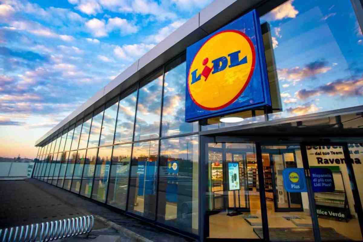 lidl cerca persone