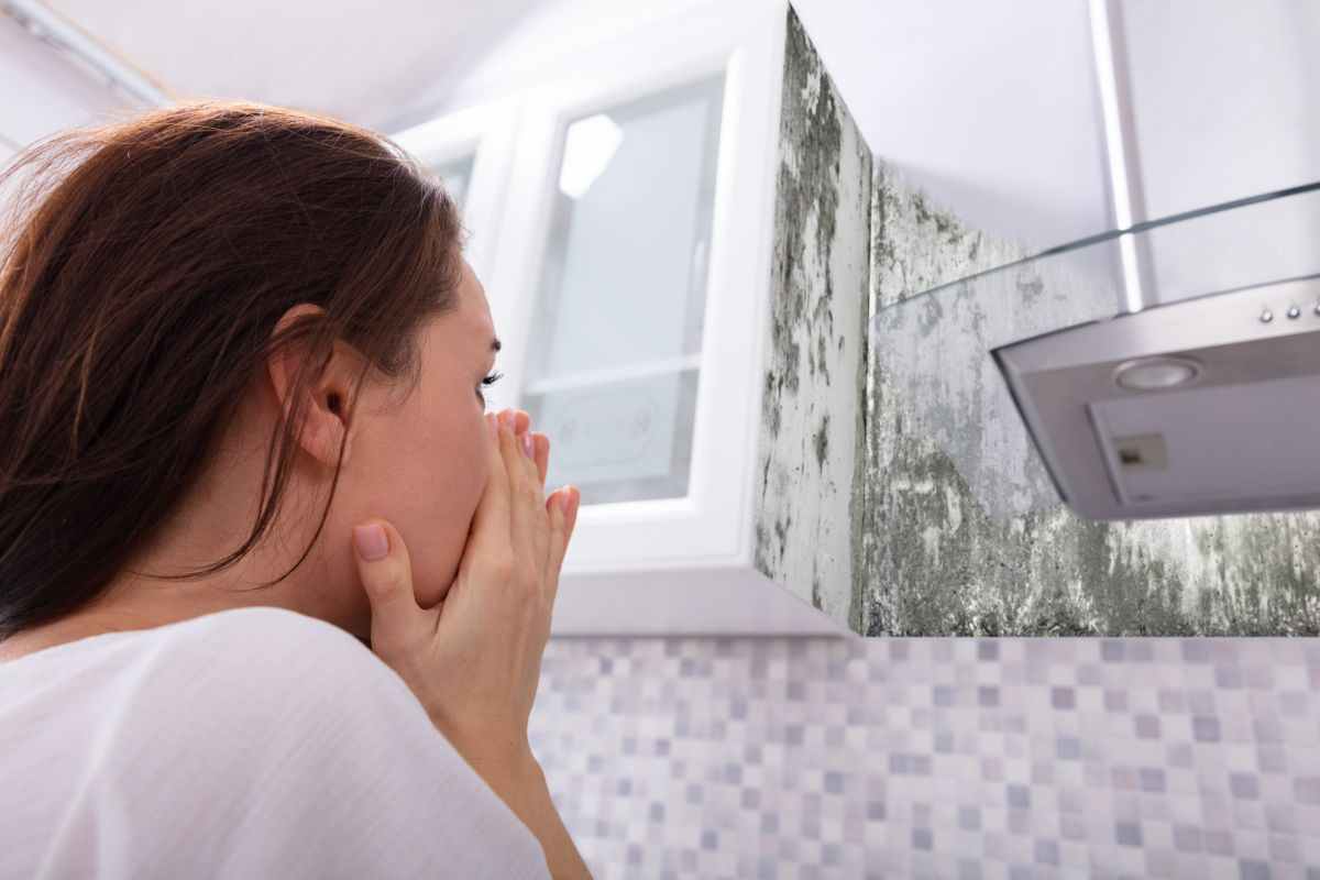 Aumentare la temperatura del deumidificatore contrastala muffa?
