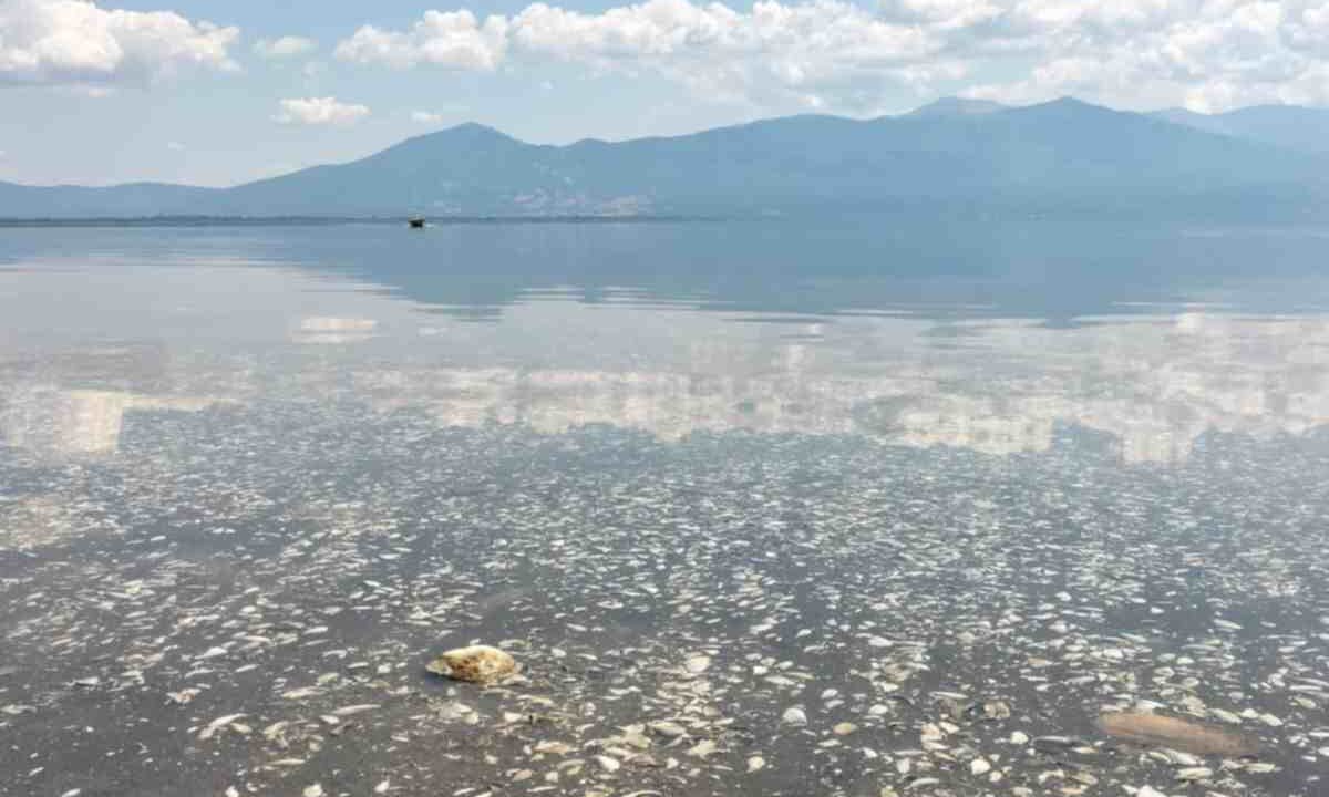 Laghi di Prespa cosa vedere e fare