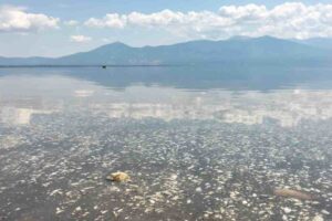 Laghi di Prespa cosa vedere e fare