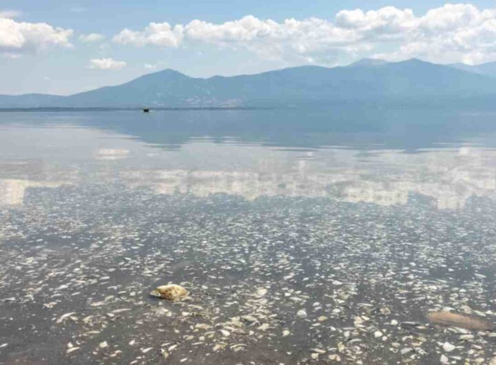 Laghi di Prespa cosa vedere e fare