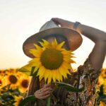 campi di girasole: dove vederli