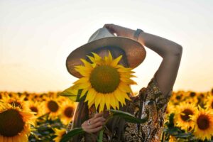 campi di girasole: dove vederli