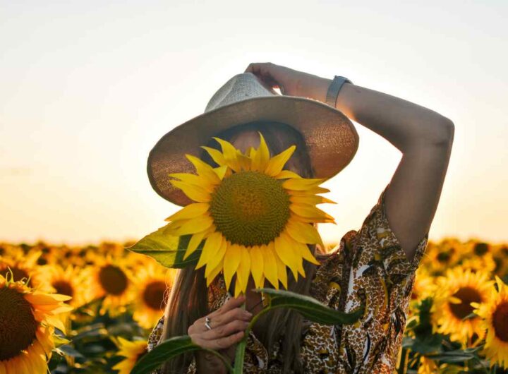 campi di girasole: dove vederli