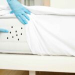 Addio ospiti indesiderati nel letto in sole 2 ore: il trucco che ti fa salutare, ecco i dettagli