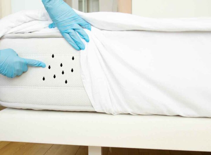 Addio ospiti indesiderati nel letto in sole 2 ore: il trucco che ti fa salutare, ecco i dettagli