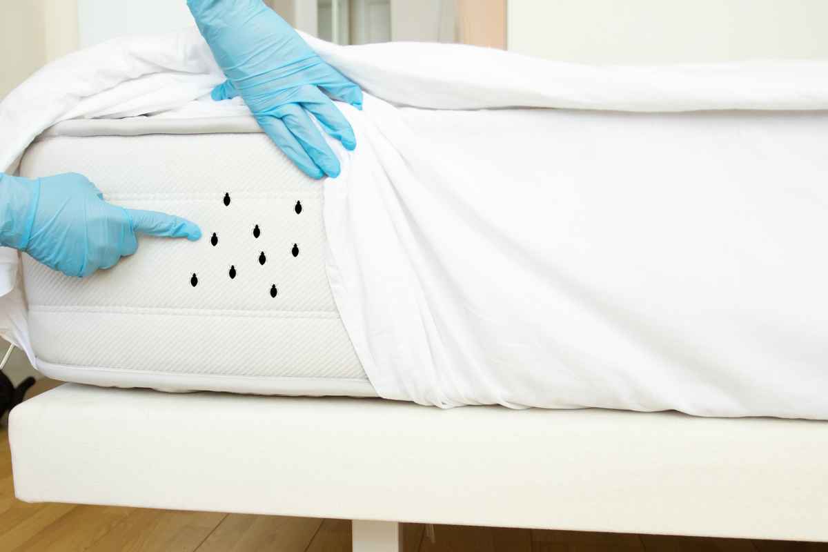Addio ospiti indesiderati nel letto in sole 2 ore: il trucco che ti fa salutare, ecco i dettagli
