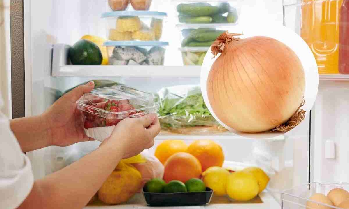 cipolla frigo: ecco come si deve conservare