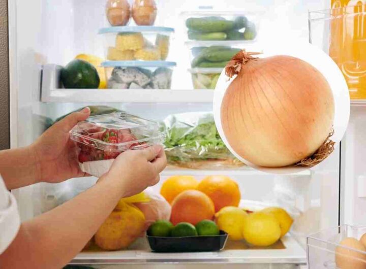 cipolla frigo: ecco come si deve conservare
