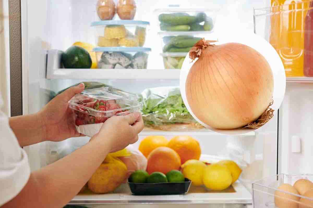 cipolla frigo: ecco come si deve conservare