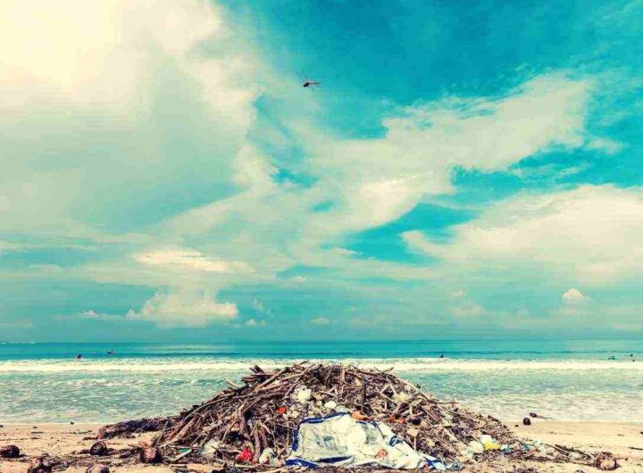 Attenzione a queste spiagge famosissime, rischi gravi infezioni se fai il bagno qui