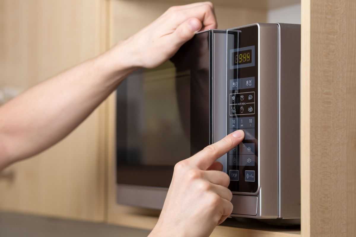 spugna: mettila nel microonde e vedrai che succede