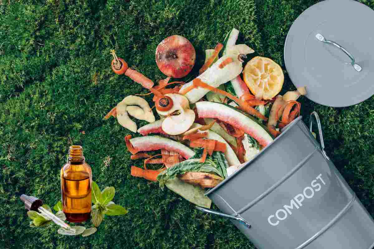 Il secchio dell'organico è sempre un problema? Così cancelli le puzze, tutti i dettagli