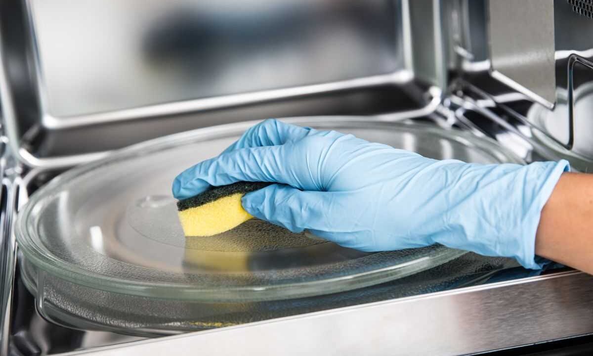 spugna: mettila nel microonde e vedrai che succede