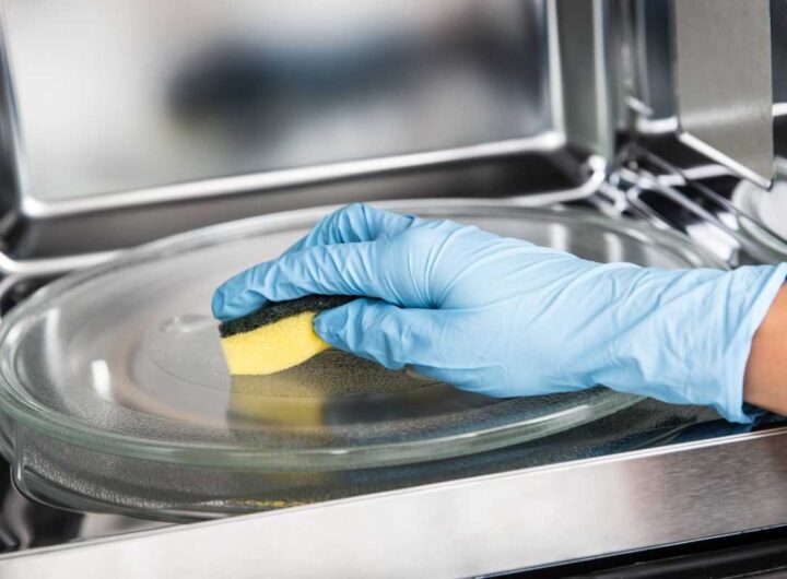 spugna: mettila nel microonde e vedrai che succede
