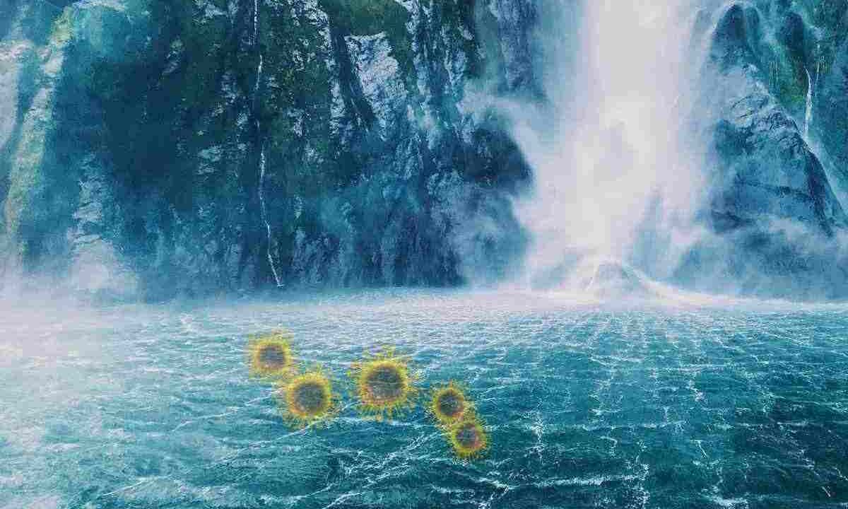 Vacanze a rischio, attenzione al virus dell’acqua
