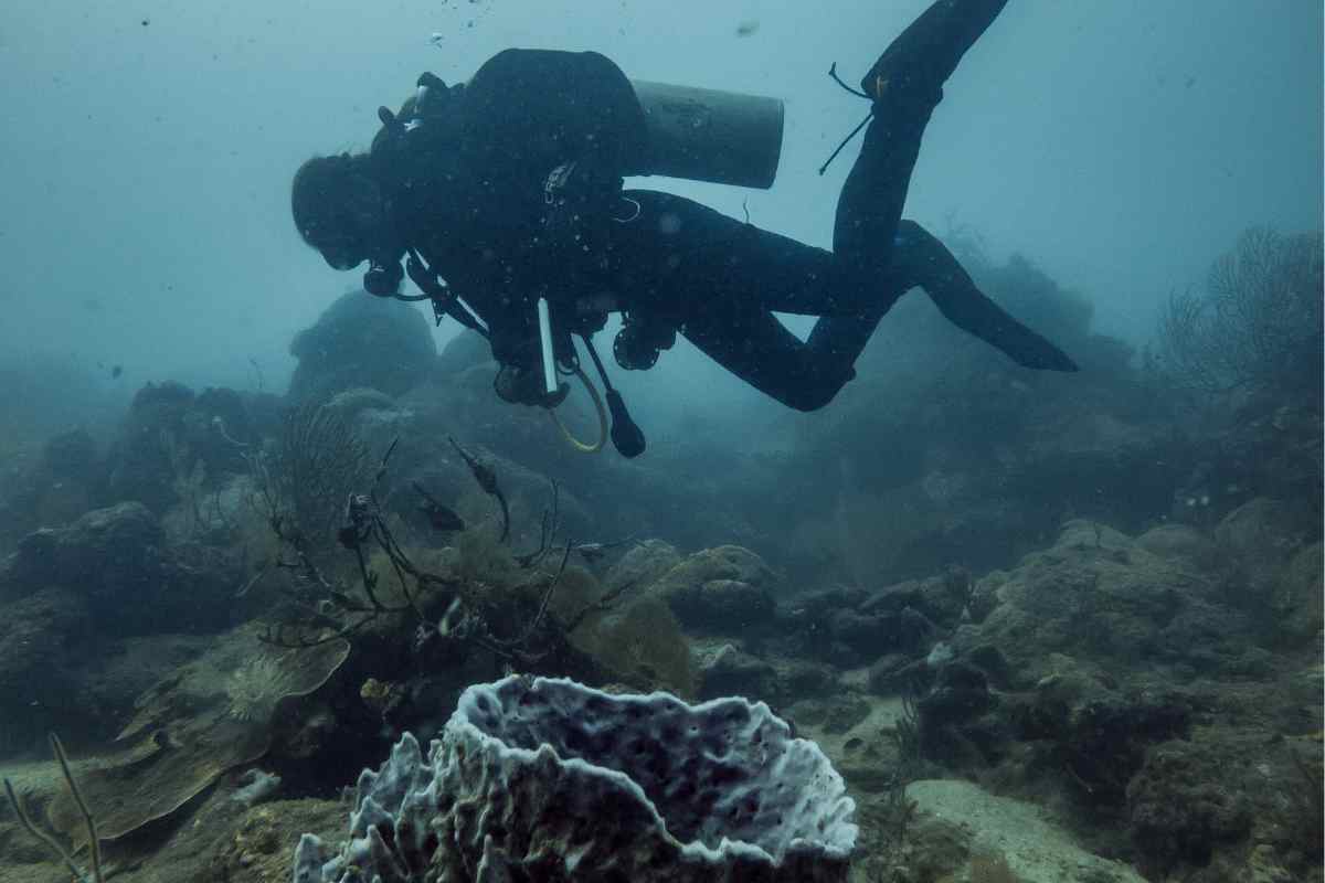 “Rischio tsunami”: il gigantesco vulcano sottomarino spaventa gli esperti, ecco di che si tratta